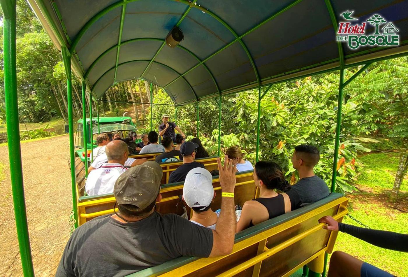 Hotel Del Bosque Río Cuarto Kültér fotó